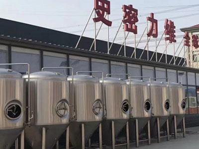长春精酿啤酒设备厂—市场规模与跨界新需求